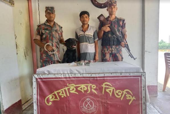 টেকনাফে বিজিবি চেকপোস্টে তল্লাশি করে ইয়াবাসহ আটক ১