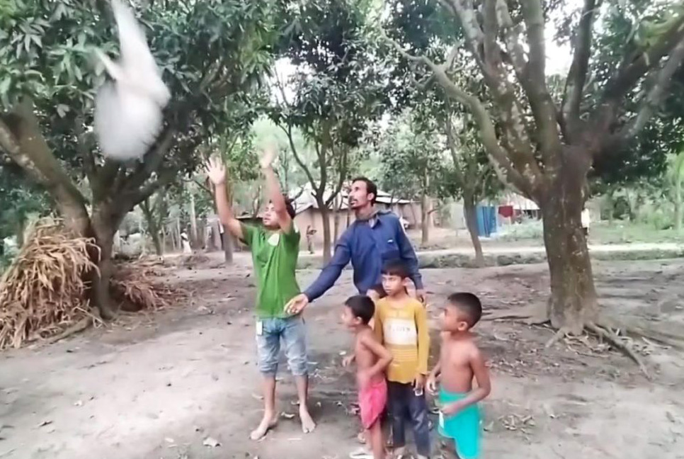 নাটোরে পাখি শিকারে ব্যবহৃত জাল ধ্বংস