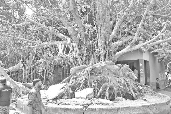 চাঁপাইনবাবগঞ্জে ঝড়ে ব্যাপক ক্ষতি