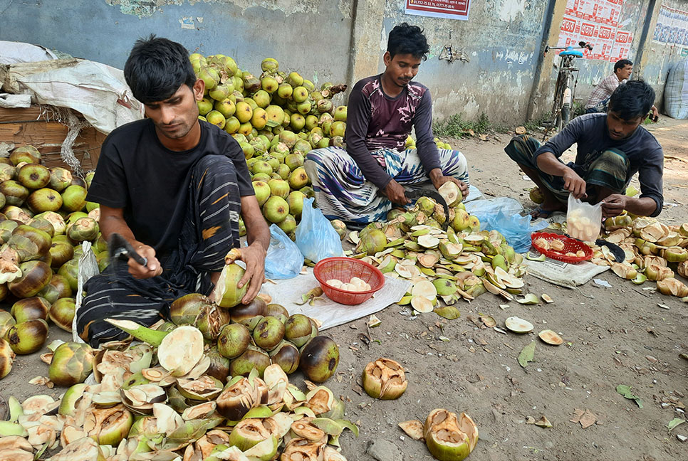 চাঁপাইনবাবগঞ্জে কদর বেড়েছে তালের শাঁসের