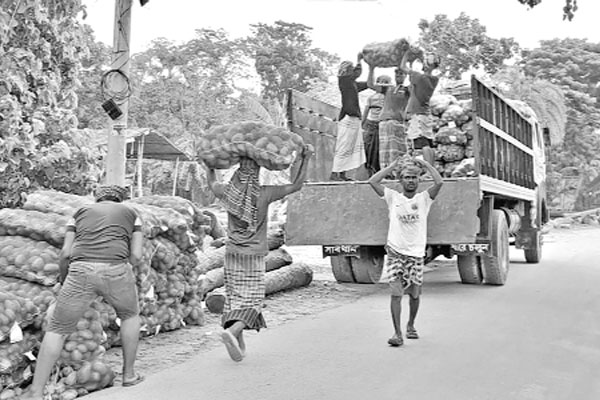 আমের কেজি দুই টাকা