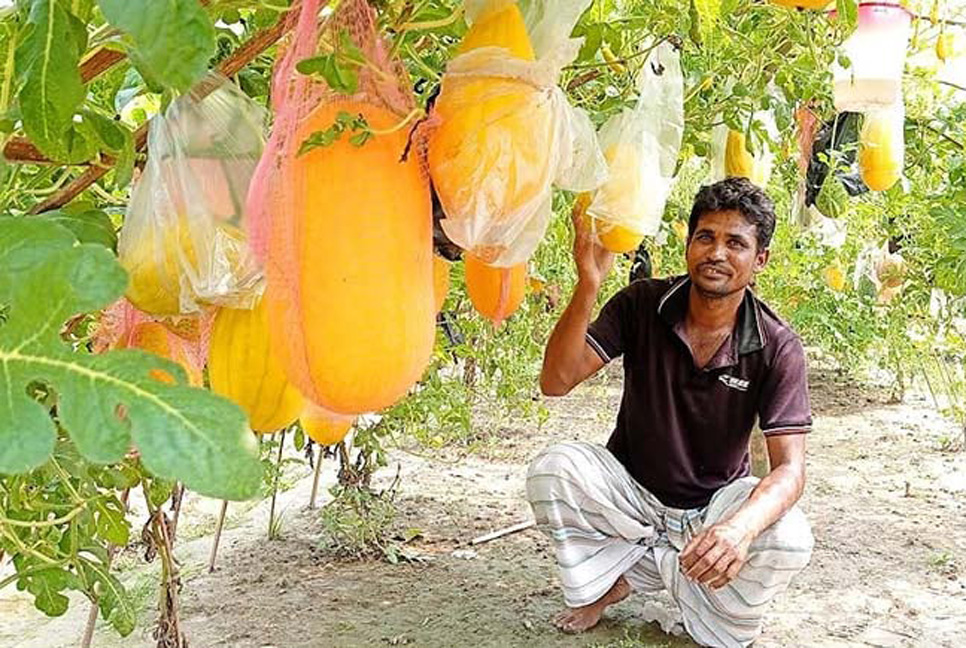 নীলফামারীর মাটিতে গ্রীষ্মকালীন তরমুজ চাষে ব্যাপক সফলতা