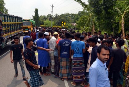 কুষ্টিয়ায় সড়ক দুর্ঘটনায় ২ কলেজছাত্র নিহত