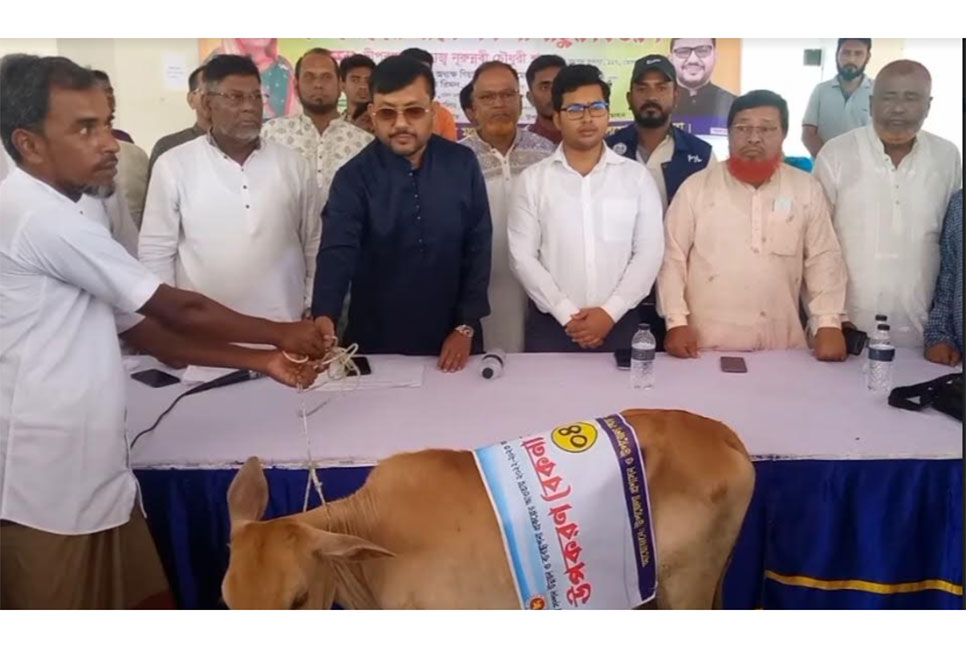 ভোলায় ৪১ জন জেলের মাঝে
বকনা বাছুর বিতরণ 