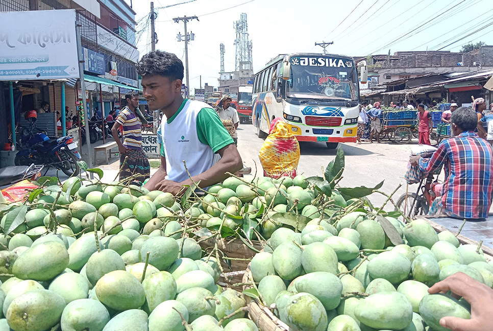 চাঁপাইনবাবগঞ্জে আড়াই হাজার কোটি টাকার আম বাণিজ্যের সম্ভাবনা