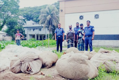 বাউফলে অবৈধ জালসহ গ্রেফতার ২