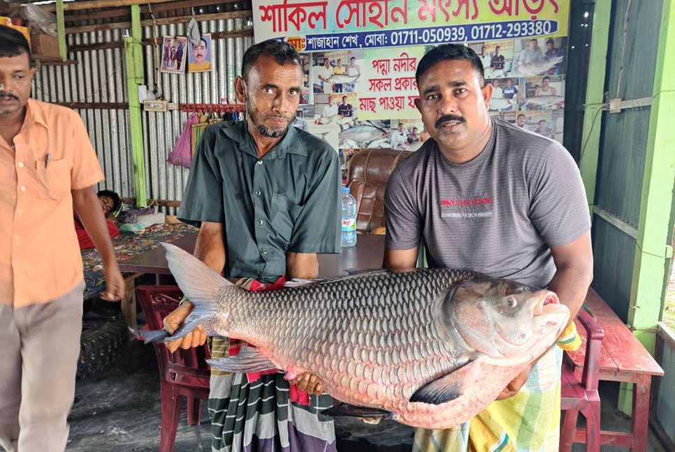 এক কাতলের দাম ৫০ হাজার টাকা