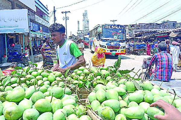 আড়াই হাজার কোটি টাকার আম বাণিজ্যের সম্ভাবনা