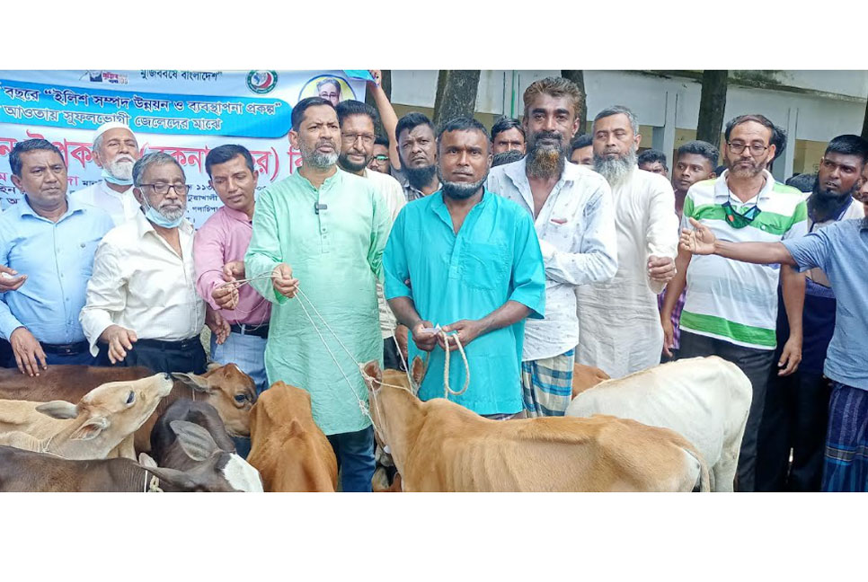 গলাচিপায় জেলেদের মাঝে জাল ও বাছুর বিতরণ
