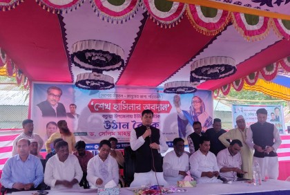 চার কারণে রাজনীতিতে বিপর্যয়ের মুখে বিএনপি : ড. সেলিম মাহমুদ

