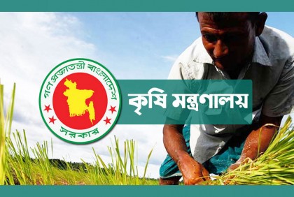 আমনের উৎপাদন বাড়াতে ৩৩ কোটি টাকার প্রণোদনা