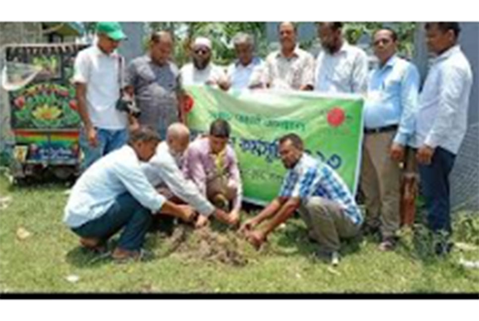 বরগুনায় বৃক্ষরোপণ কর্মসূচি