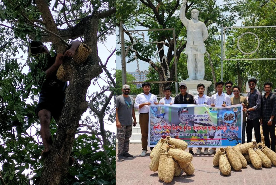 গাছে গাছে ঝুলছে পাখিদের কৃত্রিম আবাসস্থল