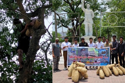 গাছে গাছে ঝুলছে পাখিদের কৃত্রিম আবাসস্থল