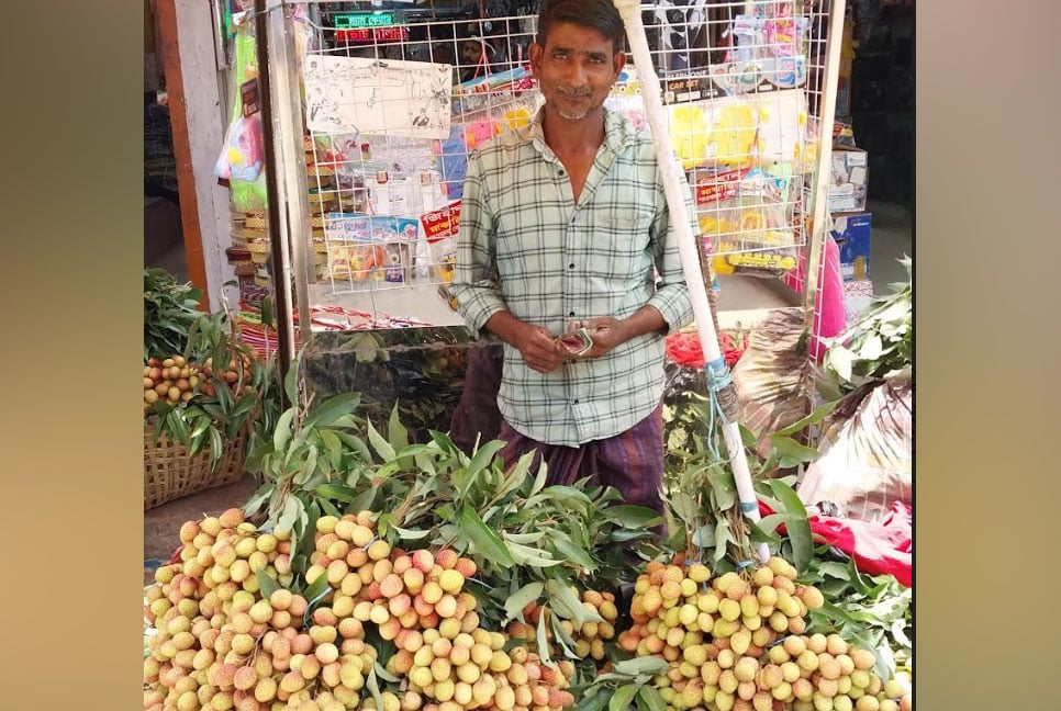 লিচুর সরবরাহ বাড়ছে, দাম পেয়ে খুশি চাষিরা