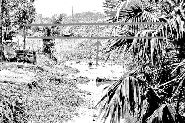 ঝিনাইদহে খালের মুখ বন্ধ করে মাছ চাষ