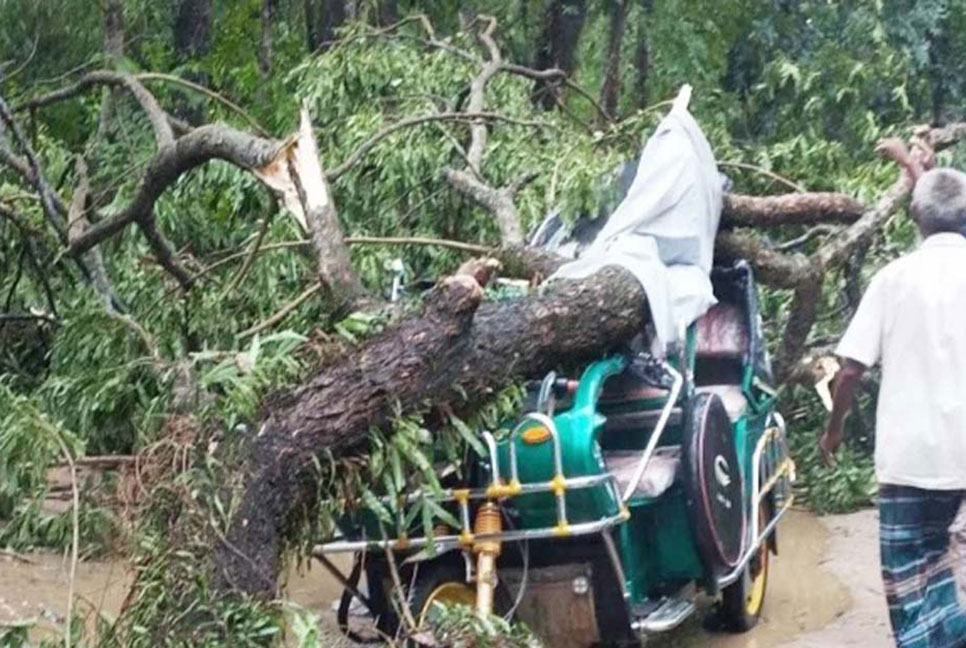 নেত্রকোনায় ঝড়ে গাছচাপা পড়ে আহত ব্যক্তির মৃত্যু