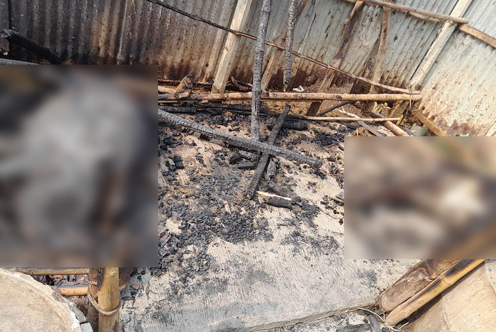 সখীপুরে প্রতিবন্ধীর ঘরে আগুন, ২ গরুর মৃত্যু