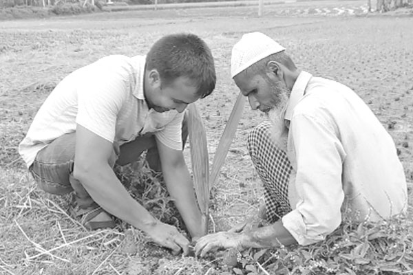দুর্যোগ মোকাবিলায় তাল চারা রোপণে ব্যাপক সাড়া