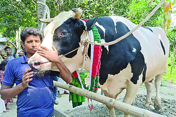 প্রস্তুত ফরিদপুরের ডন