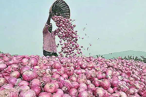 অস্থির পিঁয়াজের বাজার আমদানির সিদ্ধান্ত
