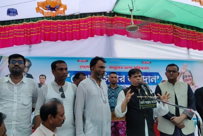 শেখ হাসিনা দেশকে রক্ষা করেছেন: ড. সেলিম মাহমুদ