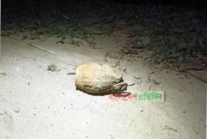 সিলেটে চা বাগানের পাশ থেকে তাজা গ্রেনেড উদ্ধার