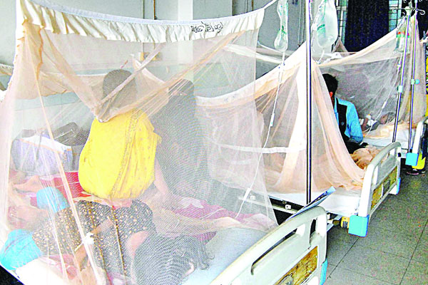 রাজধানীতে বেড়েছে ডেঙ্গু রোগীর সংখ্যা