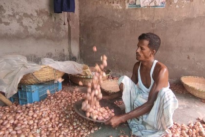 ভারত থেকে আমদানির খবরে পাবনায় পিঁয়াজের দরপতন