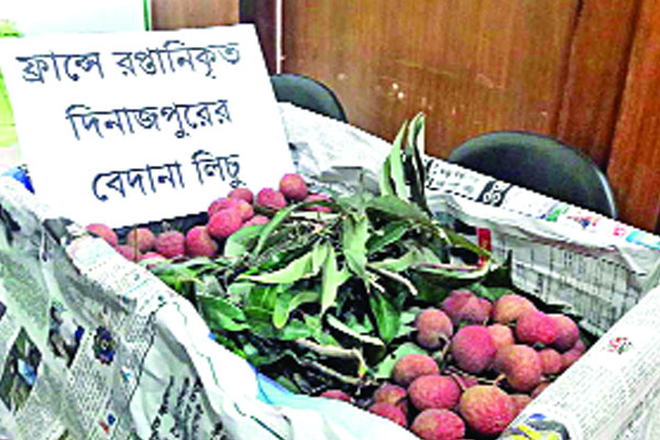 দিনাজপুরের লিচু গেল ফ্রান্সে