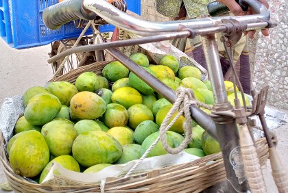 নির্ধারিত সময়ের আগে হাঁড়িভাঙা বাজারে, জানে না কৃষি বিভাগ