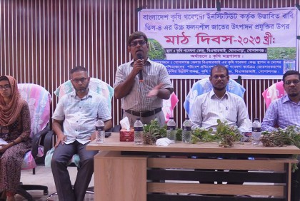 গোপালগঞ্জে বারি চিনা বাদাম-৯ ও বারি তিল-৪ এর মাঠ দিবস