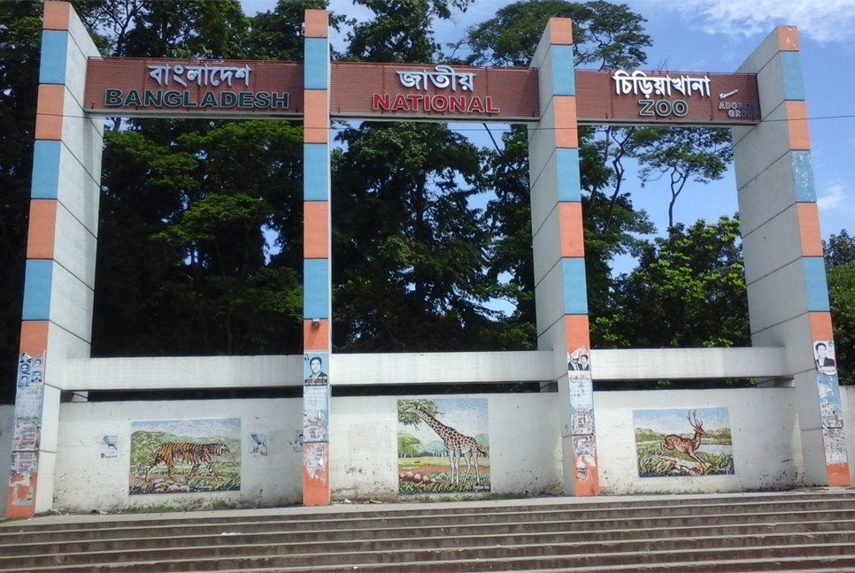মিরপুর চিড়িয়াখানায় হায়েনার কামড়ে শিশুর হাত বিচ্ছিন্ন

