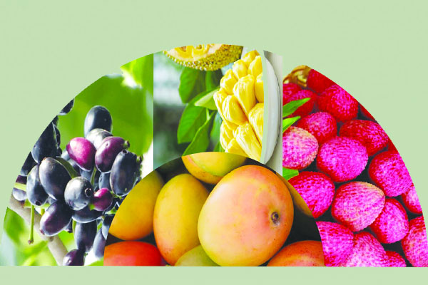 মৌসুমি ফলের আদ্যোপান্ত
