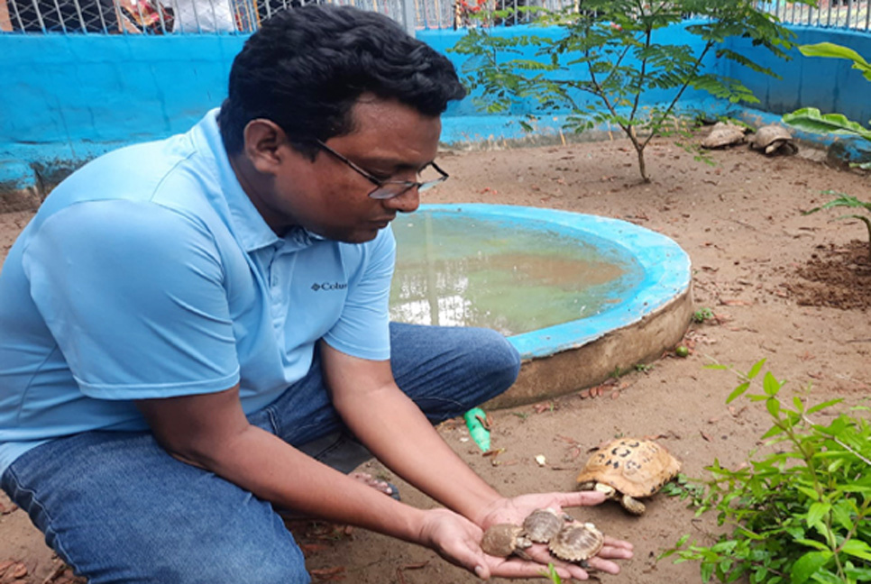 চট্টগ্রাম চিড়িয়াখানায় হলুদ কাছিমের জন্ম