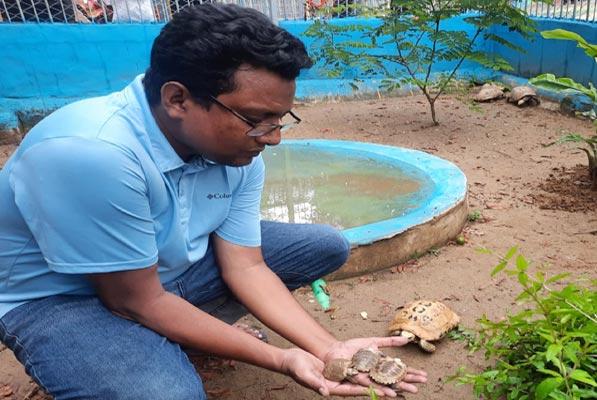চট্টগ্রাম চিড়িয়াখানায় ‘অতিবিপন্ন’ তালিকার হলুদ কাছিমের জন্ম