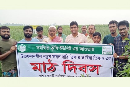 মাগুরায় বারি-৪ ও বিনা-২ জাতের তিলের মাঠ দিবস অনুষ্ঠিত