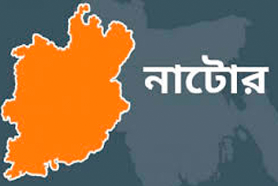 নাটোরে সাপের কামড়ে প্রাণ গেল শিশুর