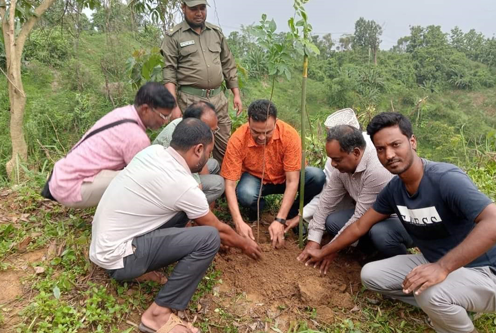 চট্টগ্রাম উত্তর বনবিভাগে বৃক্ষরোপণ উদ্বোধন
