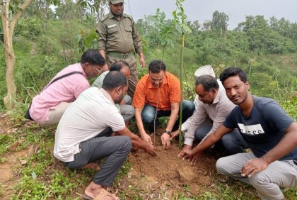 চট্টগ্রাম উত্তর বনবিভাগে বৃক্ষরোপণ উদ্বোধন
