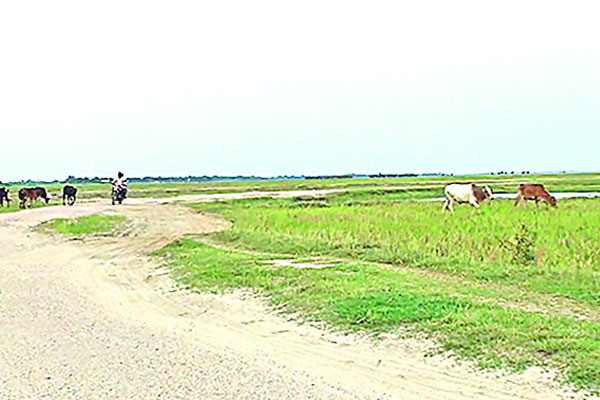 হাওরে পানি নেই, মাছ নিয়ে শঙ্কা