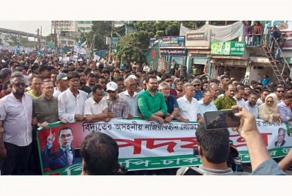 সরকারের হাতে হারিকেন ধরিয়ে দিতে হবে : আমীর খসরু

