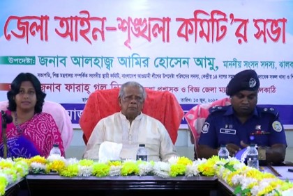 প্রধানমন্ত্রী দেশের উন্নয়নে কাজ করে যাচ্ছেন : আমু