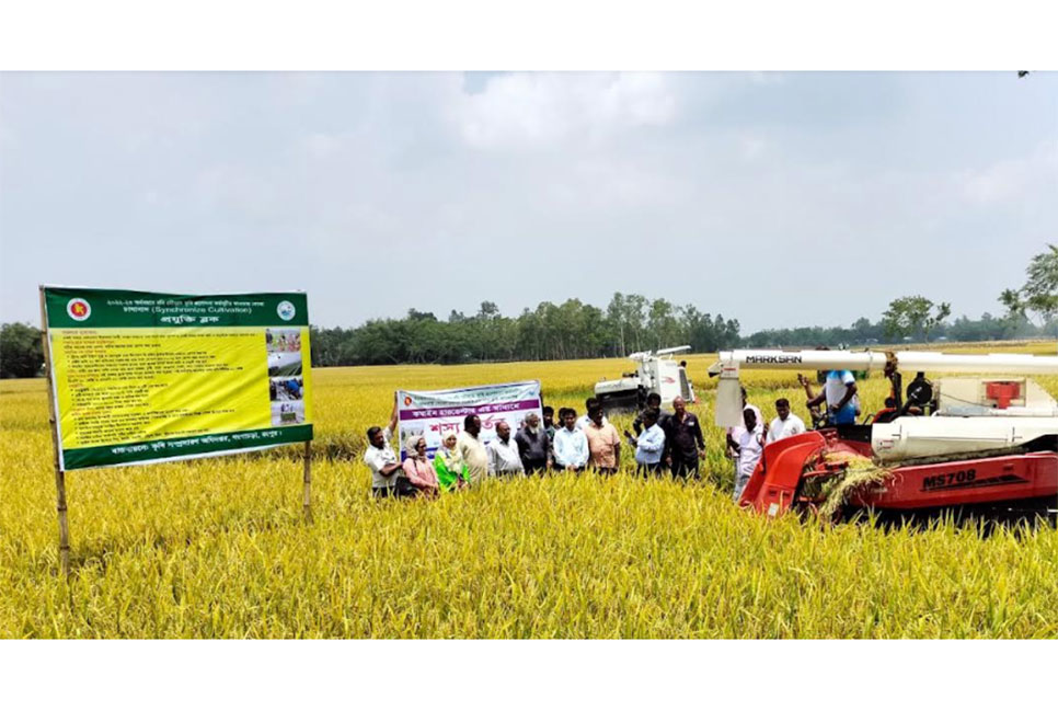 রংপুরে কৃষি যান্ত্রিকতায় 
সুবাতাস