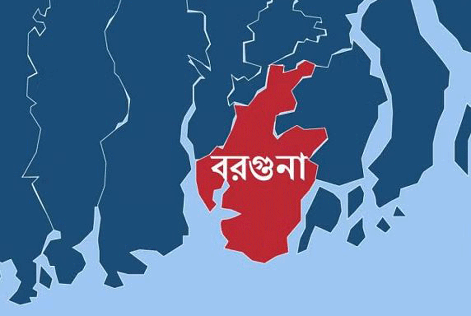 বরগুনায় ছড়িয়ে পড়েছে গবাদিপশুর লাম্পি স্কিন রোগ