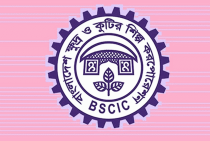 কোরবানির পশুর চামড়া সংরক্ষণে বিসিকের ৮ সিদ্ধান্ত