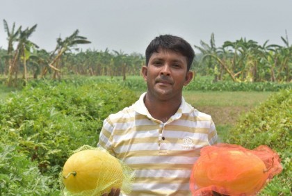 হলুদ ও কালো তরমুজ চাষে প্রবাস ফেরত যুবকের বাজিমাত  