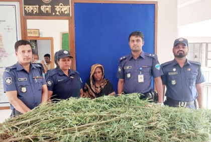 মিশ্র ফলবাগানে গাঁজা চাষ, গাঁজার গাছসহ নারী গ্রেফতার