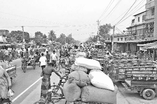 জয়পুরহাটে ধানের দাম নিয়ে দুশ্চিন্তায় কৃষক