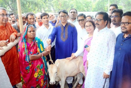 দিনাজপুরে ক্ষুদ্র নৃগোষ্ঠীদের মাঝে গরু ও ভেড়া বিতরণ